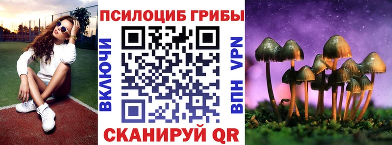 хочу   Пугачёв  Галлюциногенные грибы MAGIC MUSHROOMS 